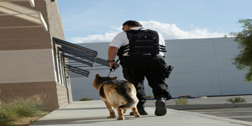 K-9